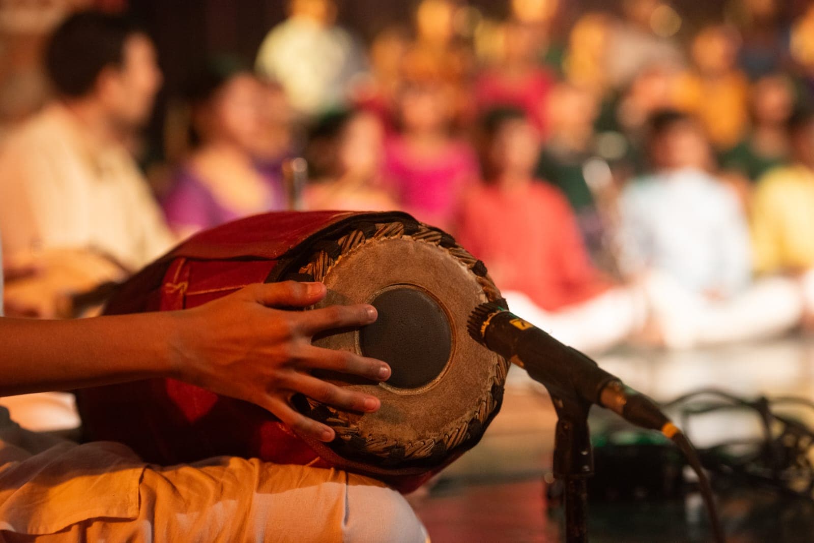 Mrudangam instrument